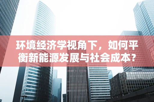 环境经济学视角下，如何平衡新能源发展与社会成本？