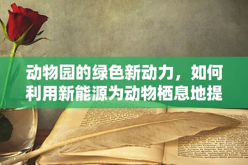 动物园的绿色新动力，如何利用新能源为动物栖息地提供可持续能源？