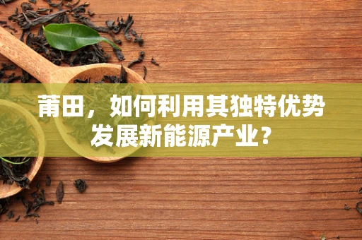 莆田，如何利用其独特优势发展新能源产业？