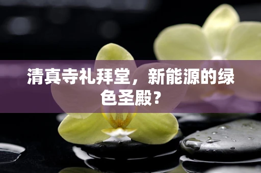 清真寺礼拜堂，新能源的绿色圣殿？