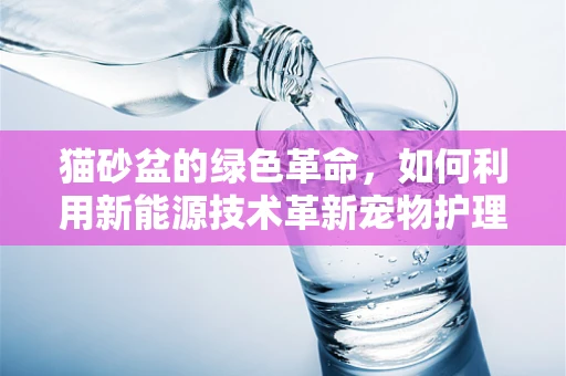 猫砂盆的绿色革命，如何利用新能源技术革新宠物护理？