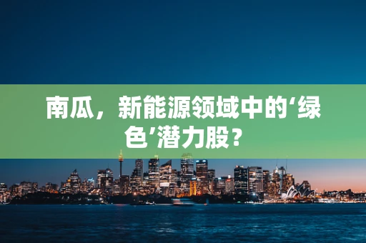 南瓜，新能源领域中的‘绿色’潜力股？