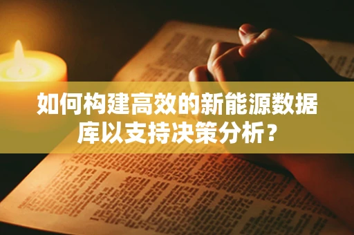 如何构建高效的新能源数据库以支持决策分析？
