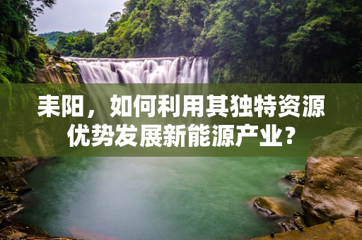 耒阳，如何利用其独特资源优势发展新能源产业？