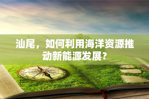 汕尾，如何利用海洋资源推动新能源发展？