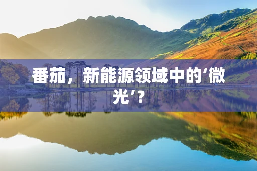 番茄，新能源领域中的‘微光’？