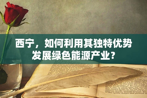 西宁，如何利用其独特优势发展绿色能源产业？