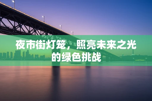 夜市街灯笼，照亮未来之光的绿色挑战