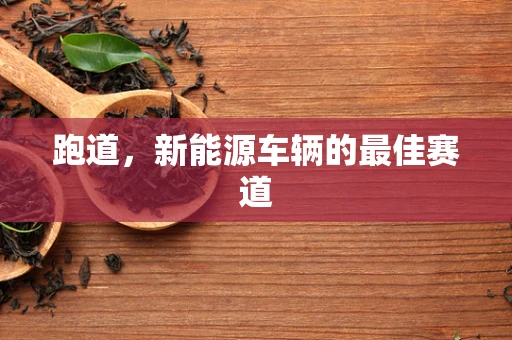 跑道，新能源车辆的最佳赛道
