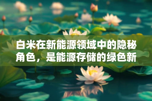 白米在新能源领域中的隐秘角色，是能源存储的绿色新星吗？