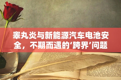 睾丸炎与新能源汽车电池安全，不期而遇的‘跨界’问题？