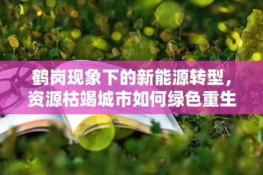 鹤岗现象下的新能源转型，资源枯竭城市如何绿色重生？