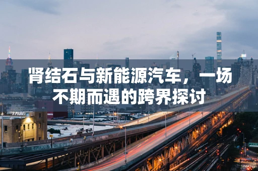 肾结石与新能源汽车，一场不期而遇的跨界探讨
