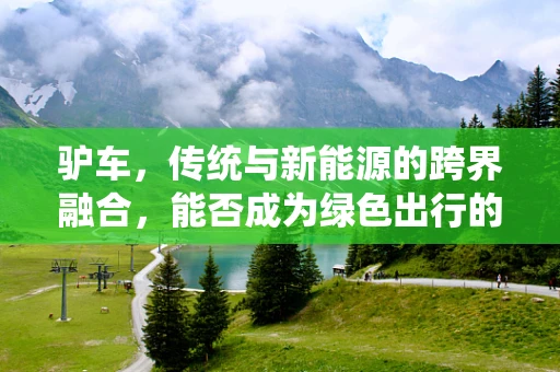 驴车，传统与新能源的跨界融合，能否成为绿色出行的‘黑马’？
