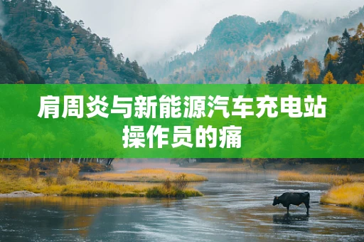 肩周炎与新能源汽车充电站操作员的痛
