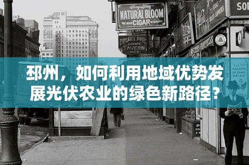 邳州，如何利用地域优势发展光伏农业的绿色新路径？