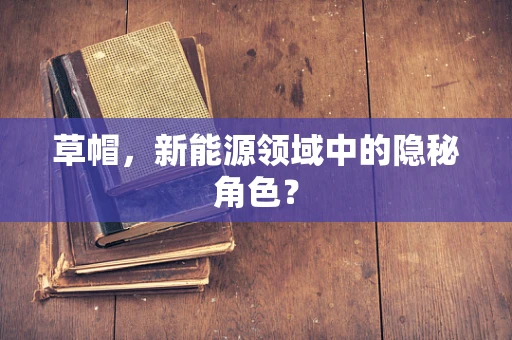 草帽，新能源领域中的隐秘角色？