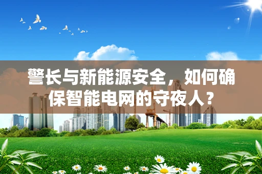 警长与新能源安全，如何确保智能电网的守夜人？