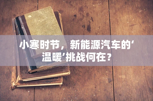 小寒时节，新能源汽车的‘温暖’挑战何在？