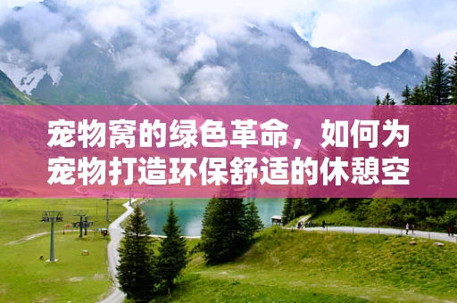 宠物窝的绿色革命，如何为宠物打造环保舒适的休憩空间？