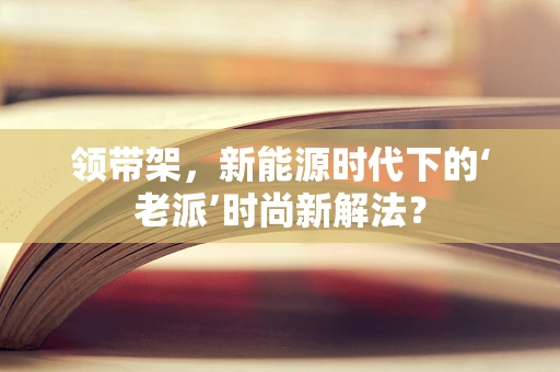 领带架，新能源时代下的‘老派’时尚新解法？