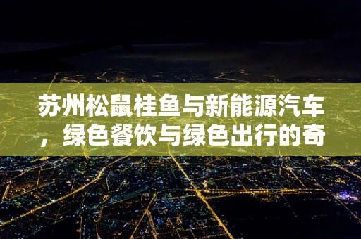 苏州松鼠桂鱼与新能源汽车，绿色餐饮与绿色出行的奇妙碰撞