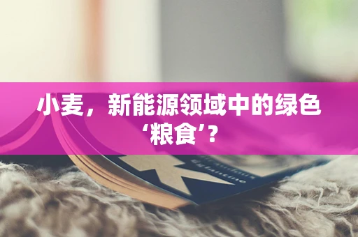 小麦，新能源领域中的绿色‘粮食’？