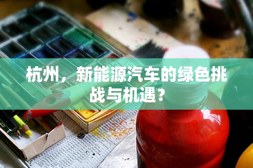 杭州，新能源汽车的绿色挑战与机遇？
