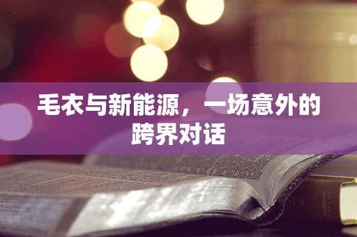 毛衣与新能源，一场意外的跨界对话