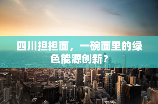四川担担面，一碗面里的绿色能源创新？