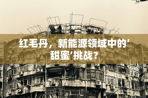 红毛丹，新能源领域中的‘甜蜜’挑战？