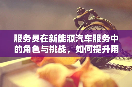 服务员在新能源汽车服务中的角色与挑战，如何提升用户体验？