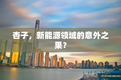 杏子，新能源领域的意外之果？