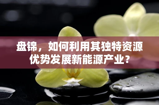 盘锦，如何利用其独特资源优势发展新能源产业？