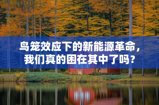 鸟笼效应下的新能源革命，我们真的困在其中了吗？