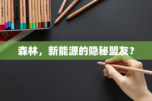 森林，新能源的隐秘盟友？