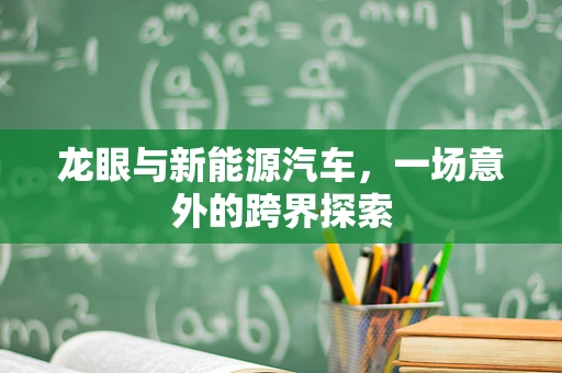 龙眼与新能源汽车，一场意外的跨界探索