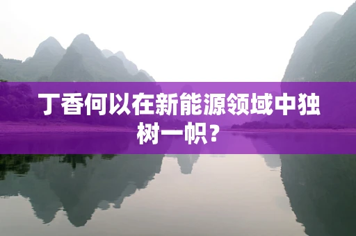 丁香何以在新能源领域中独树一帜？