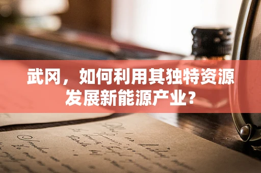 武冈，如何利用其独特资源发展新能源产业？