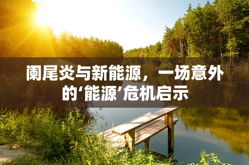 阑尾炎与新能源，一场意外的‘能源’危机启示