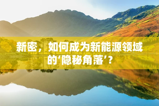 新密，如何成为新能源领域的‘隐秘角落’？