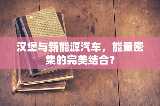 汉堡与新能源汽车，能量密集的完美结合？