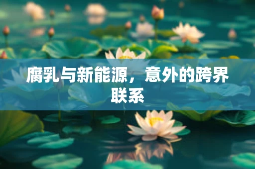 腐乳与新能源，意外的跨界联系