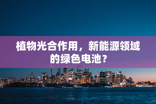 植物光合作用，新能源领域的绿色电池？
