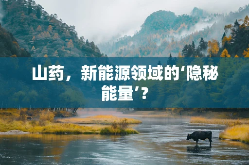 山药，新能源领域的‘隐秘能量’？