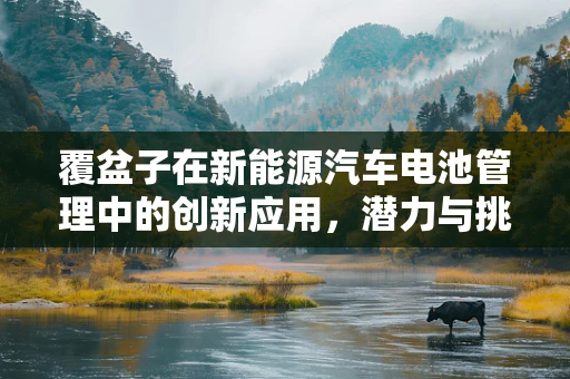 覆盆子在新能源汽车电池管理中的创新应用，潜力与挑战并存？