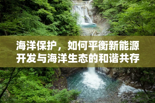 海洋保护，如何平衡新能源开发与海洋生态的和谐共存？