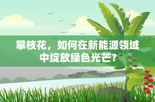 攀枝花，如何在新能源领域中绽放绿色光芒？