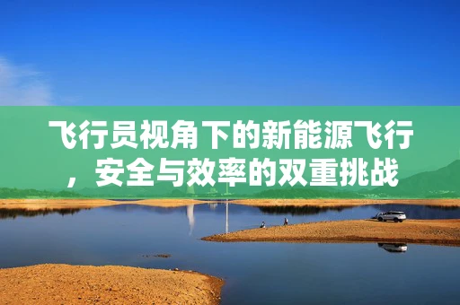 飞行员视角下的新能源飞行，安全与效率的双重挑战