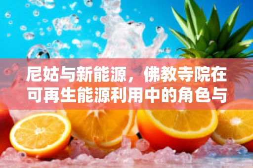 尼姑与新能源，佛教寺院在可再生能源利用中的角色与挑战